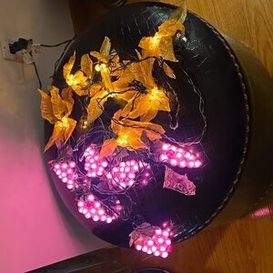 Lot of 2 vintage lights